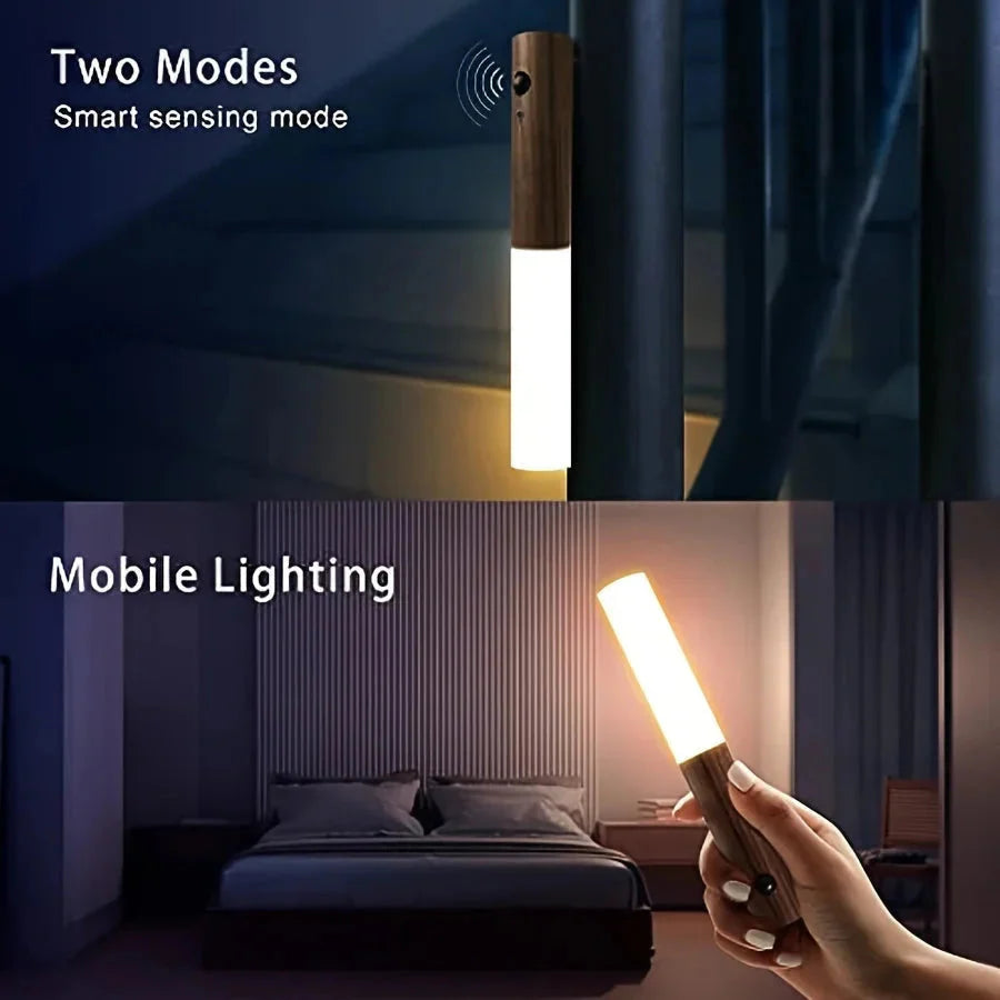 MotionTorch