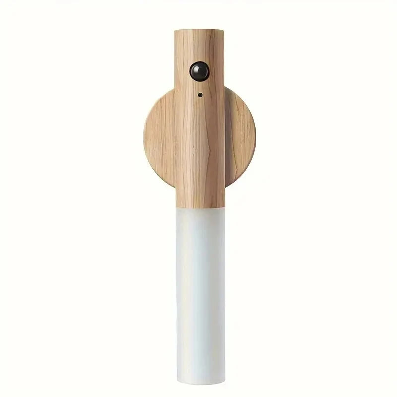MotionTorch