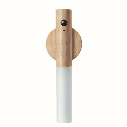 MotionTorch